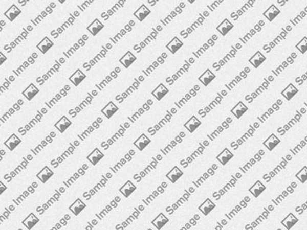 Professional Websites Made Easy