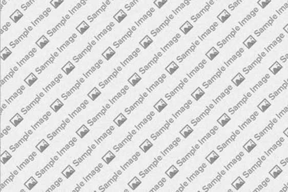 Clean Design that Focuses on Content